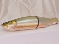 GLX silver salmon