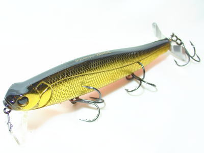 Golden shiner