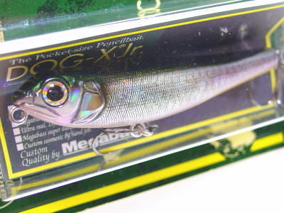MEGABASS / DOG-X JR. COAYU | IchibanTackle.com