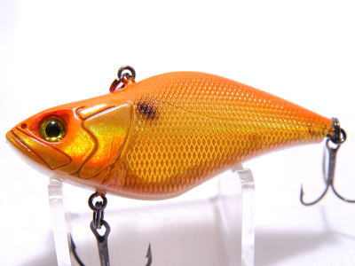 Orange back gold (Low tone rattle model)