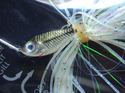 A-03 -Single gold willow