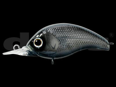 DEPS / KORRIGAN SR