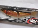 BR Rainbow trout