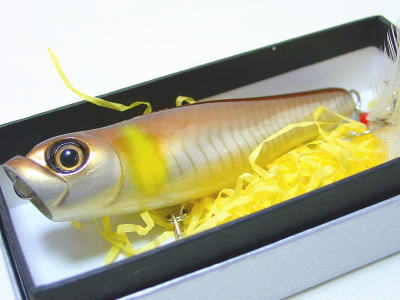 ARCADIA REEF / CARVIN' GILL (DISCONTINUED)
