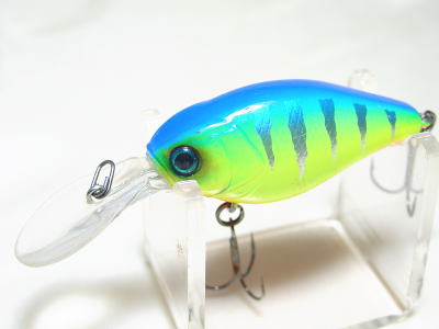 Blue back tiger