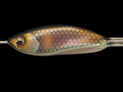 MEGABASS / SPARK RIG (STANDARD TYPE) | IchibanTackle.com