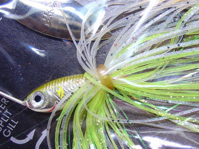 A-02 -Single gold willow
