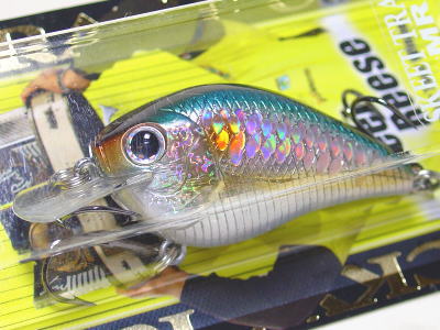 MS American shad