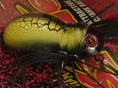 ５５％以上節約 JACKALL / IchibanTackle.com | SPIDER HAMAKURU ノイジー