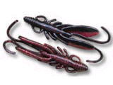 American craw male (#123)