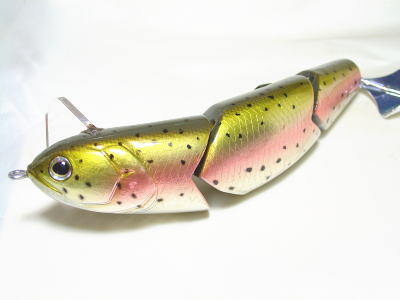 Rainbow trout