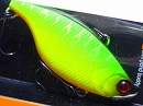 Mat tiger (gold striped)