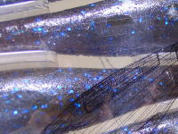 Numa chichibu (Numa ebi blue glitter) (#00J5)
