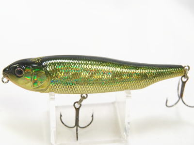 GG Moss back golden shad