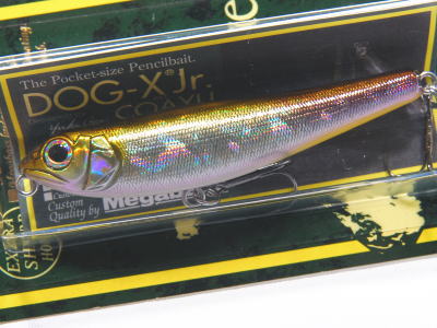 MEGABASS / DOG-X JR. COAYU | IchibanTackle.com