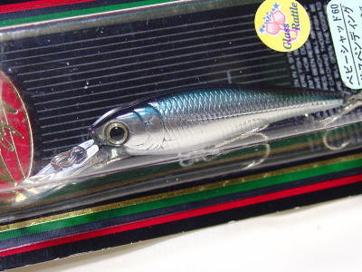 Silver minnow