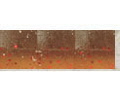 Smoke mastard / Red flake (#63)