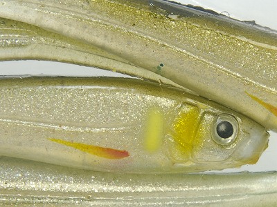 Half skeleton green ayu (#S-228)
