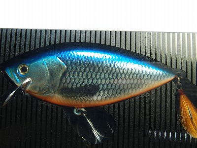 DEPS / REALISER | IchibanTackle.com