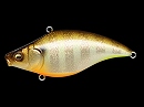 GLX Sunshine gill