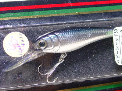 Silver minnow