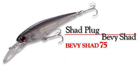 LUCKY CRAFT / BEVY SHAD 75 SP