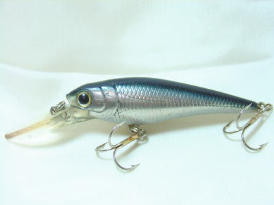 Silver shad