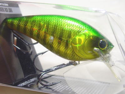 Aurora green perch