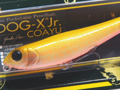 MEGABASS / DOG-X JR. COAYU | IchibanTackle.com