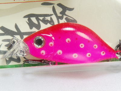 PINK LADY - Masuta Fishing