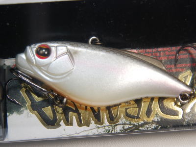 Silver shiner (#117)