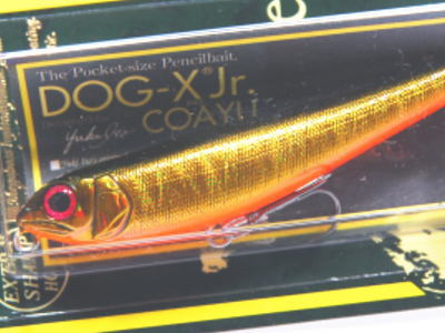 MEGABASS / DOG-X JR. COAYU | IchibanTackle.com
