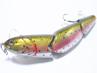 Rainbow trout
