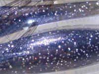 Smoke laser silver glitter (#00J7)