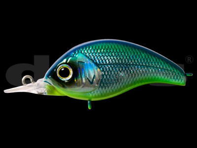 DEPS / KORRIGAN MR