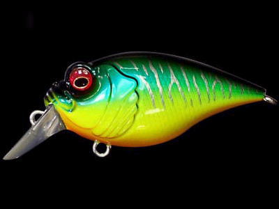 MEGABASS / GRIFFON 6CC | IchibanTackle.com