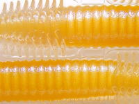 Golden shad (#00C4)