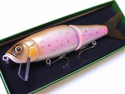 Rainbow trout