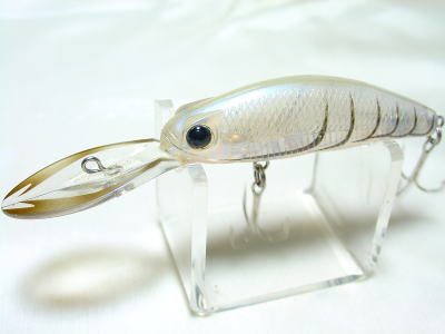 White Shrimp