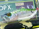 GG Sun fish (Package damaged)