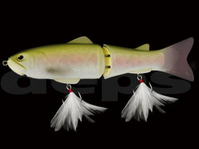 9254slideswimmer250_rainbowtro