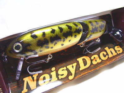 Evergreen Noisy Dachs ノイジーダックス ビッグバイレッド EVERGREEN / TIMBERFLASH NOISY DACHS | IchibanTackle.com