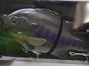 Dark purple (2015 Member limited) -Floating