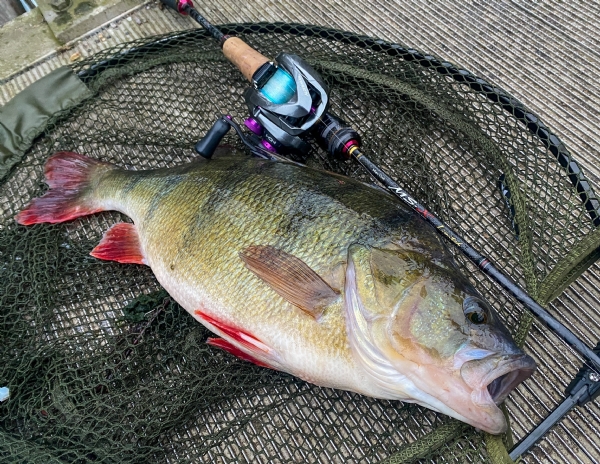 MEGABASS / IxI FURIOUS 1.5