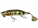 Peacock bass