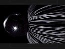 Black (#01)