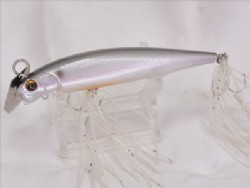 Silver shiner