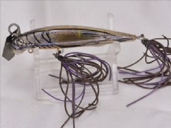 Blue shrimp