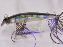 Gill crystal (Black shell)