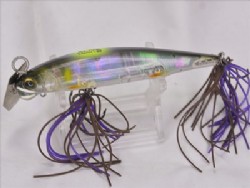 High visible ayu (Black abalone)